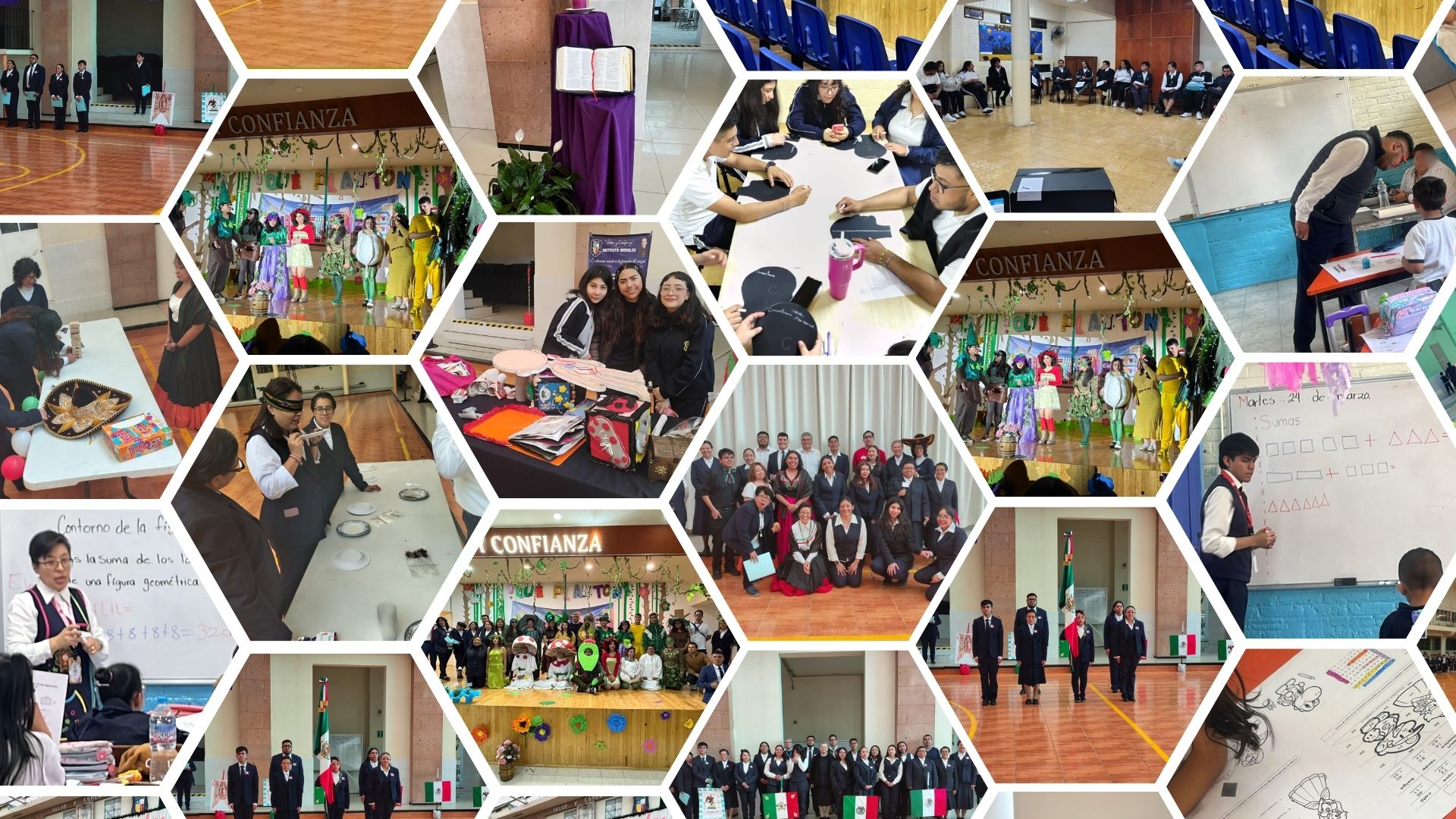 LIC educ primaria