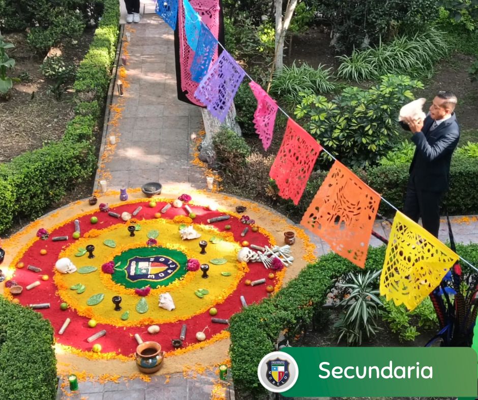 Secundaria tapete (4)